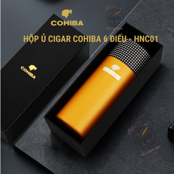 Hộp ủ Cigar, ống đựng xì gà 6 điếu COHIBA, bên ngoài da bên trong gỗ tuyết tùng - H2H Store